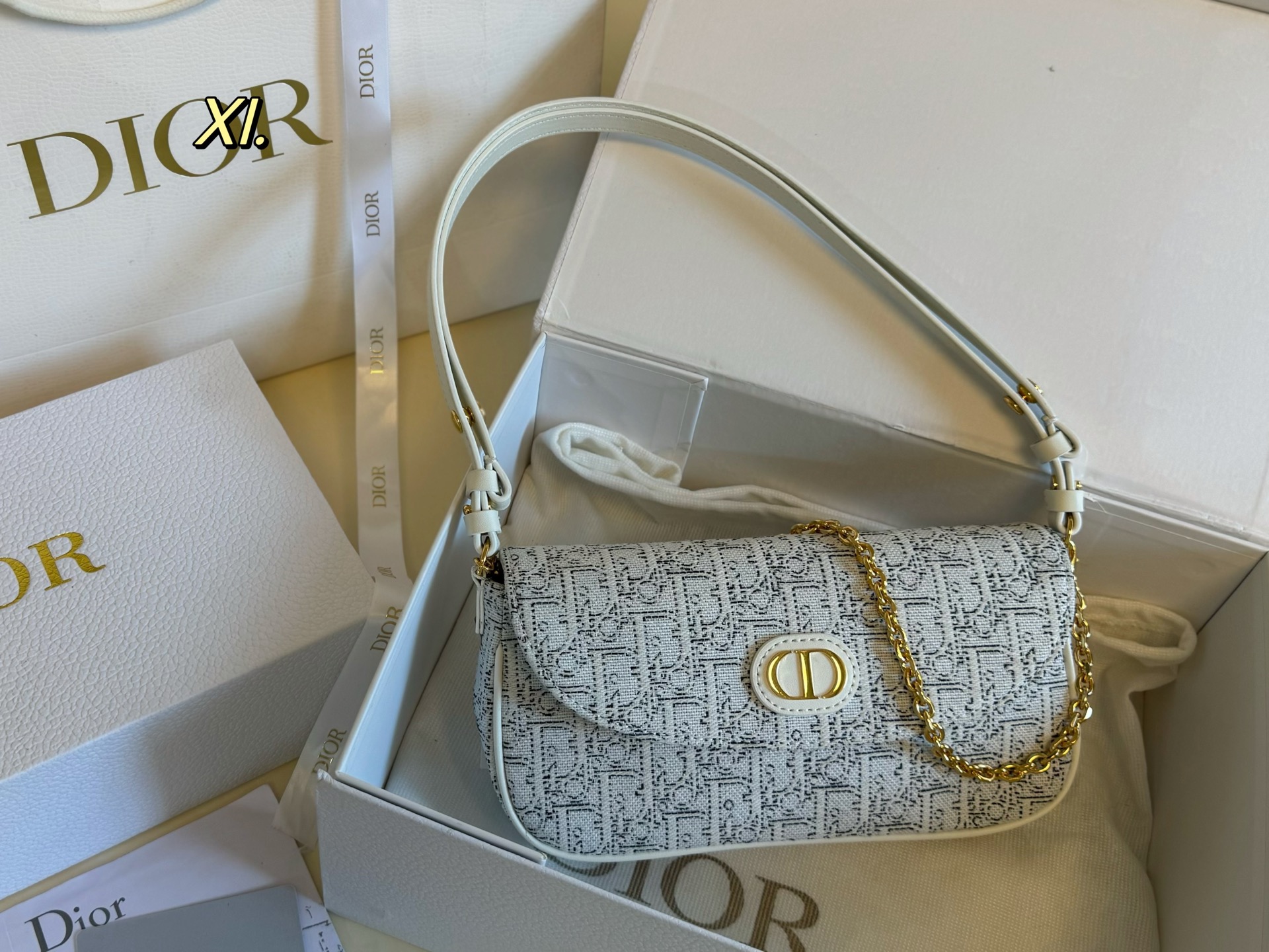 Dior Montaigne Chain Bag