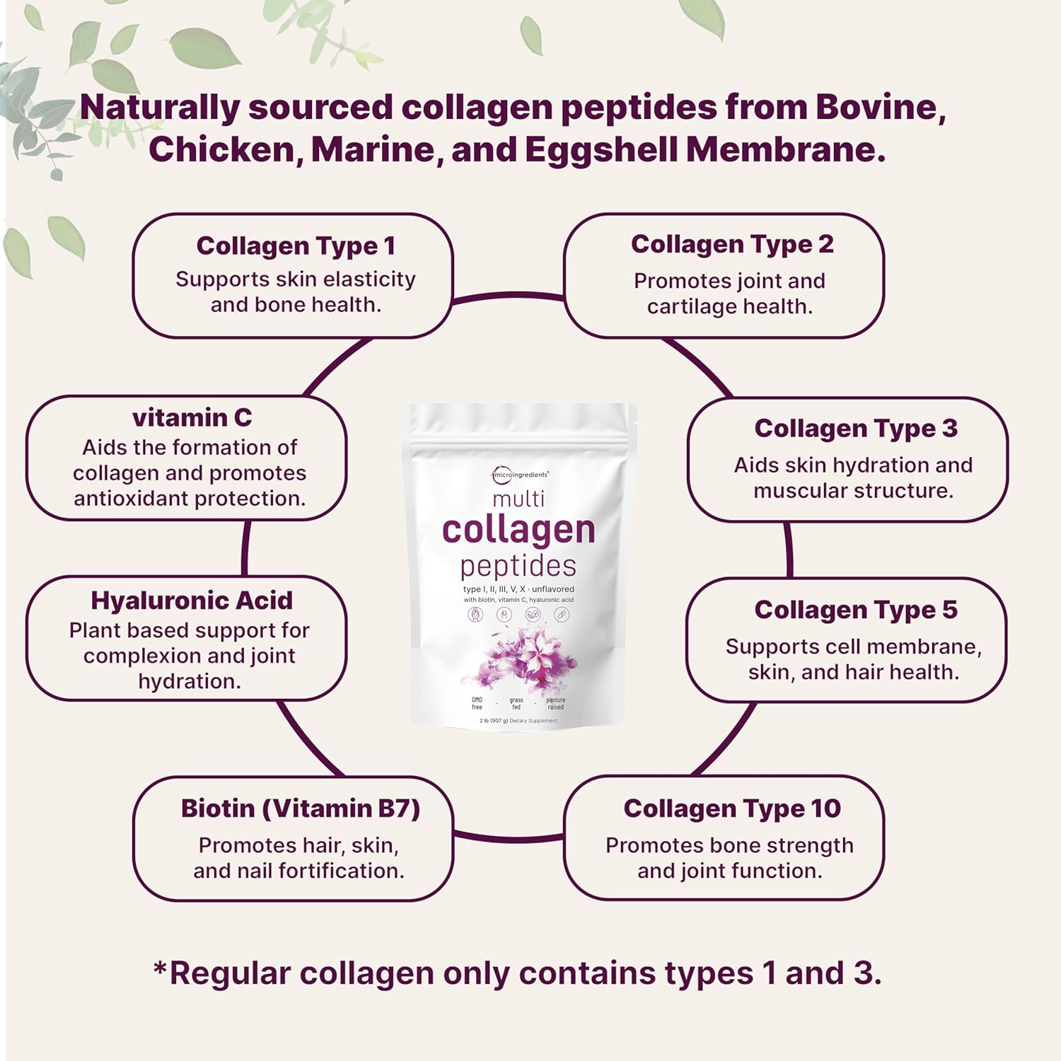 Multi Collagen Peptides - Hydrolyzed Protein Peptides with Hyaluronic Acid, Biotin & Vitamin C - Unflavored