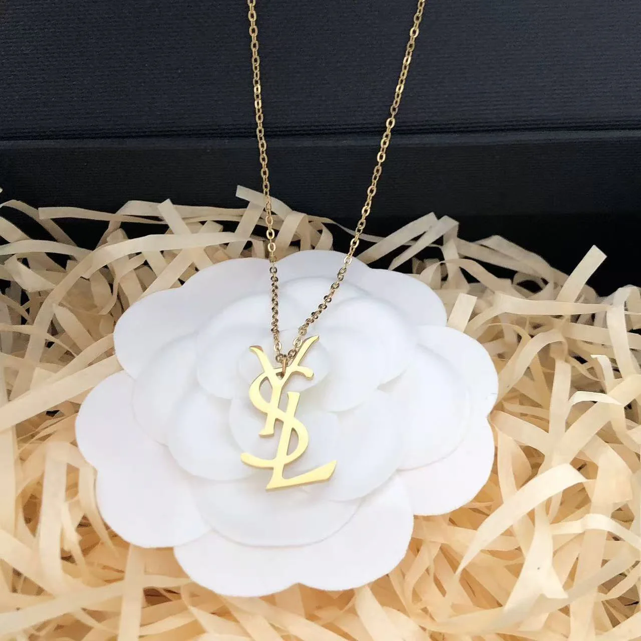 Titanium steel necklace Y01