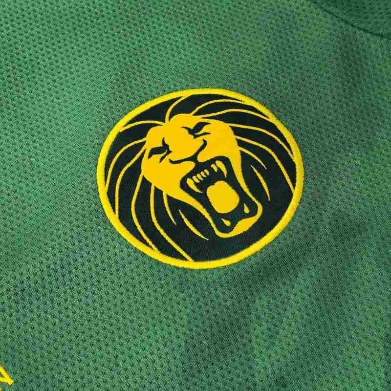 2025/26 Cameroon Home Fan Jersey