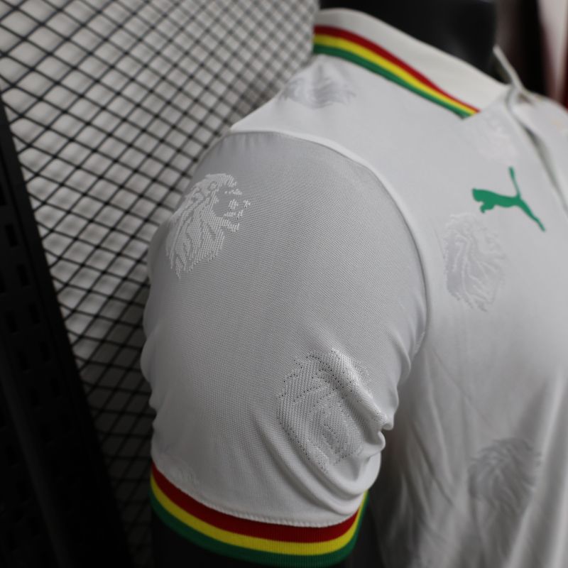 2024/2025 Senegal Special Edition Senegal Football Jersey for Players