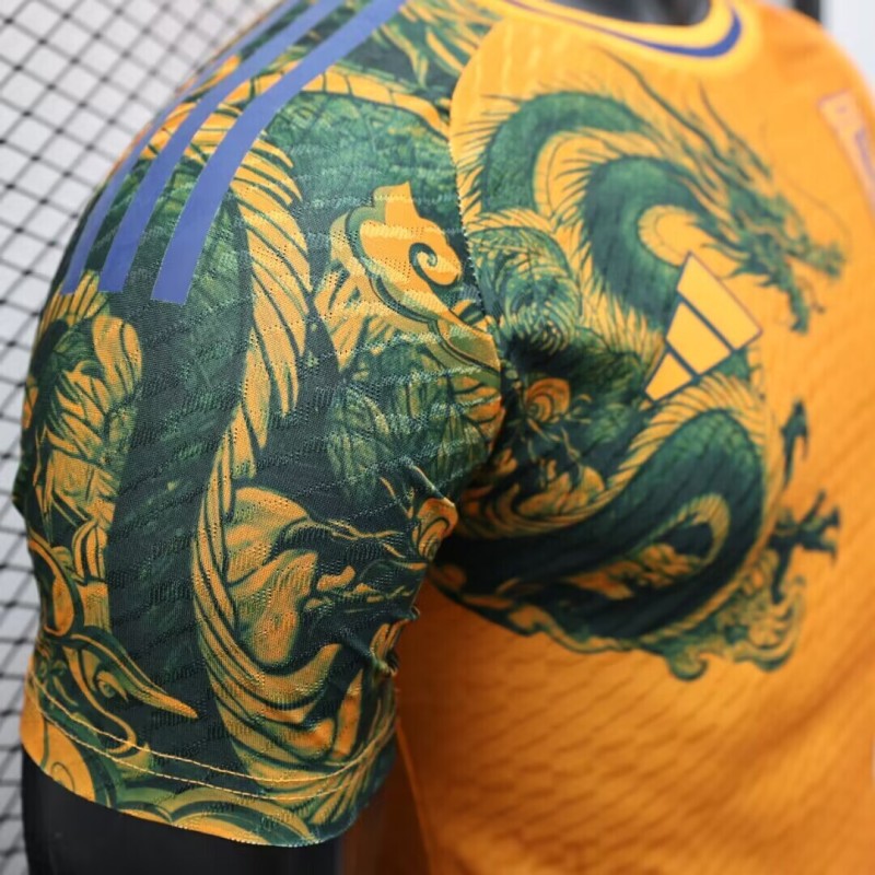 2024/2025 Players Edition Japan Special Edition Football Jersey