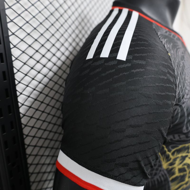 2024/2025 Players Edition Japan Special Edition Football Jersey