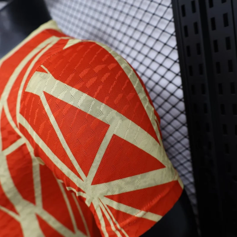 2024/2025 Player Version Bayern Munchen Special Edition Football Shirt