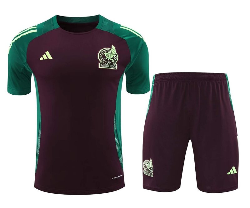 2024/2025 Mexico Training Wear Suit Shirt