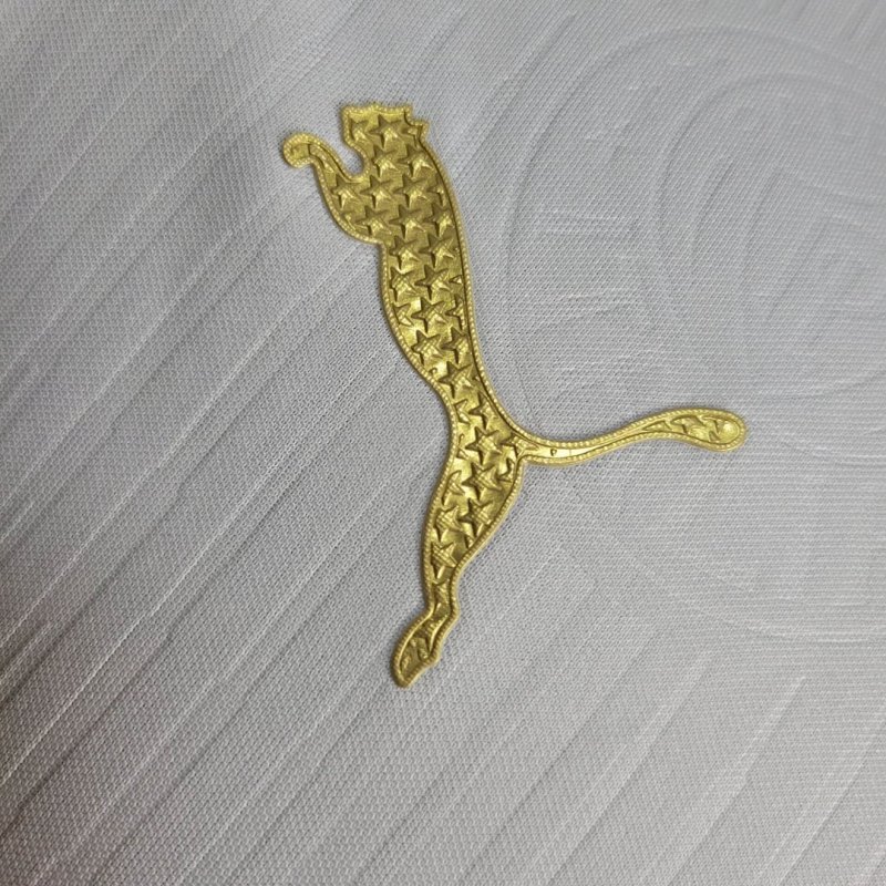 2024/2025 Player Version Palmeiras Away Football Shirt