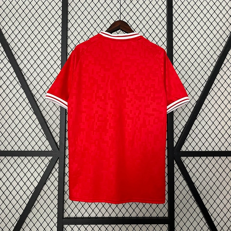 2024 Denmark Home Football Shirt