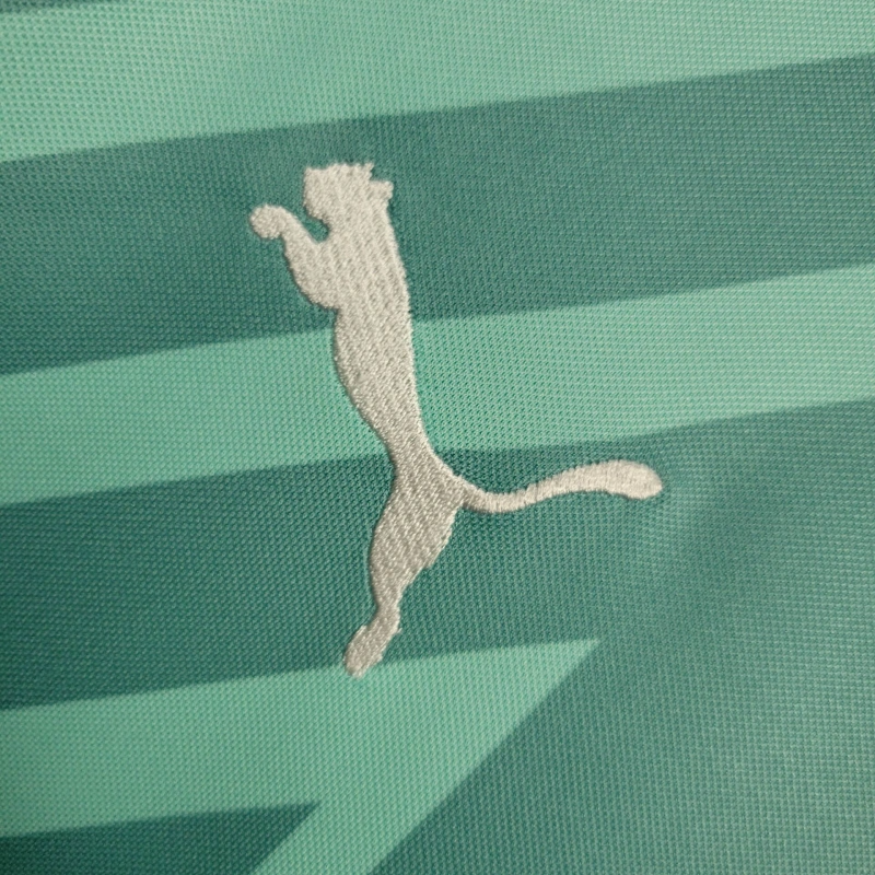 2024/2025 Palmeiras Goalkeeper Football Shirt