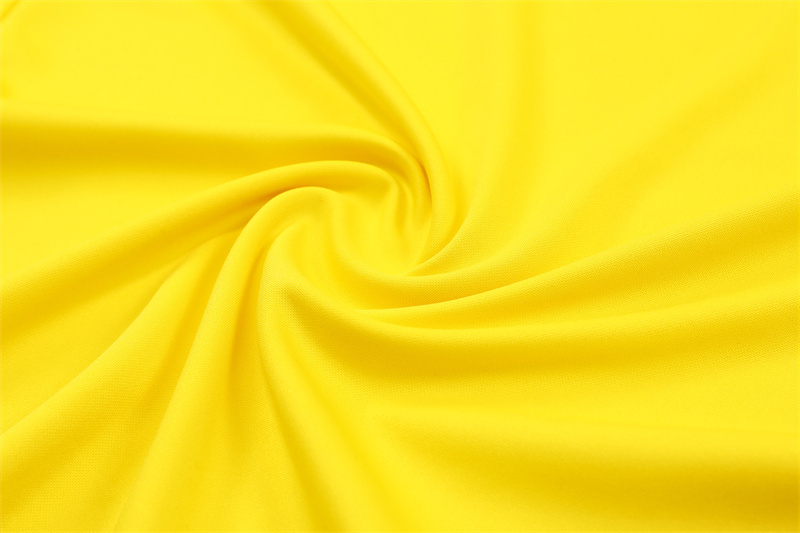 2024/2025 Player Edition Dort Pre-Match Jersey Yellow Half-zip training suit Football Jersey