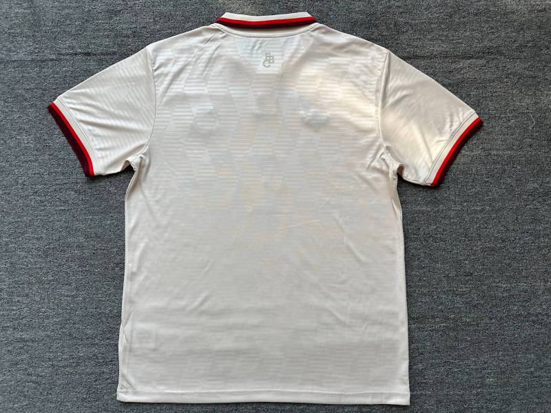 2024/2025 Bayern Munich Second Away Football Shirt (Fan Edition)