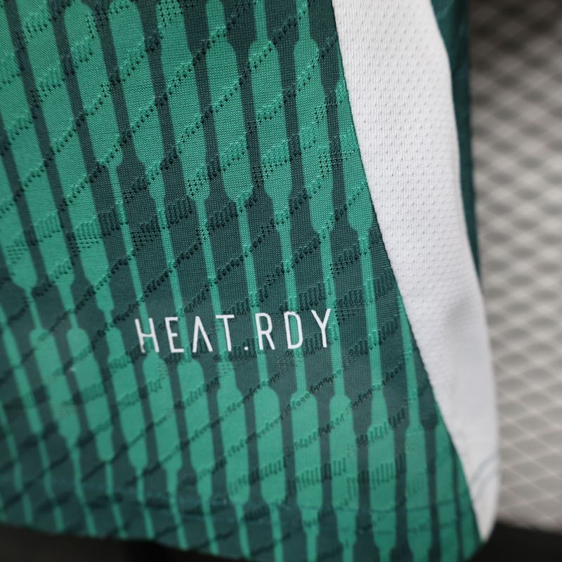 2024/2025 Player Edition Italy Special Edition Football Jersey