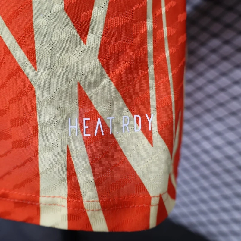 2024/2025 Player Version Bayern Munchen Special Edition Football Shirt