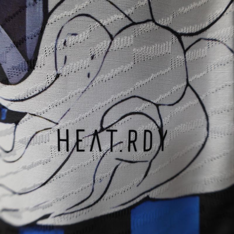 2024/2025 Player Edition Japan Special Edition Football Jersey