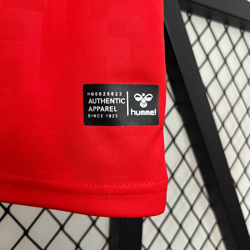 2024 Denmark Home Football Shirt