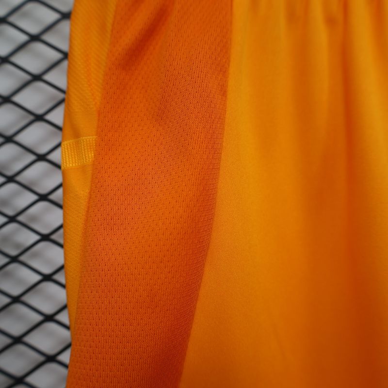 2024/2025 Players Edition Japan Special Edition Football Jersey