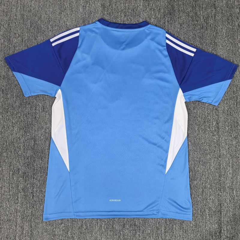 2025/2026 Manchester United Goalkeeper Football Shirt (Fan Edition)