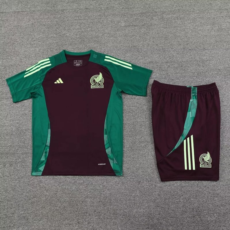2024/2025 Mexico Training Wear Suit Shirt