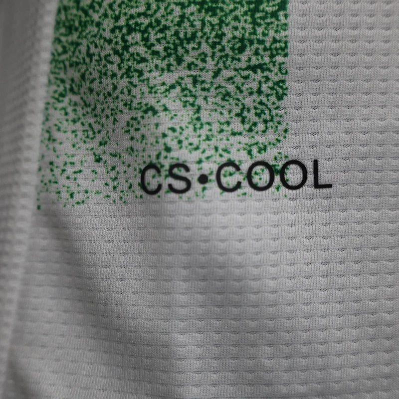 2024/2025 Player Version Club Deportivo Palestino Home Football Shirt