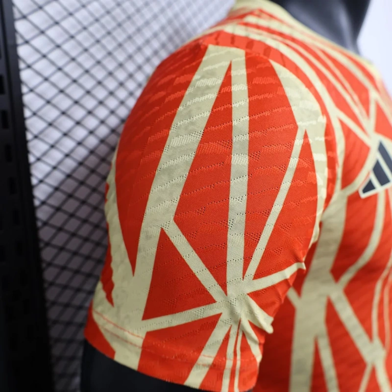 2024/2025 Player Version Bayern Munchen Special Edition Football Shirt