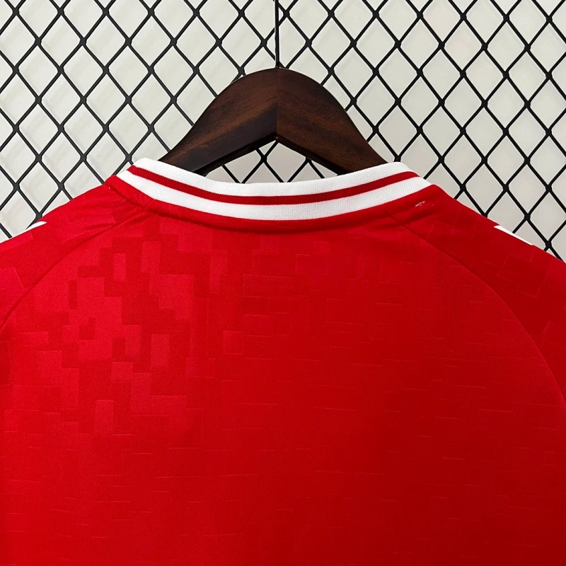 2024 Denmark Home Football Shirt