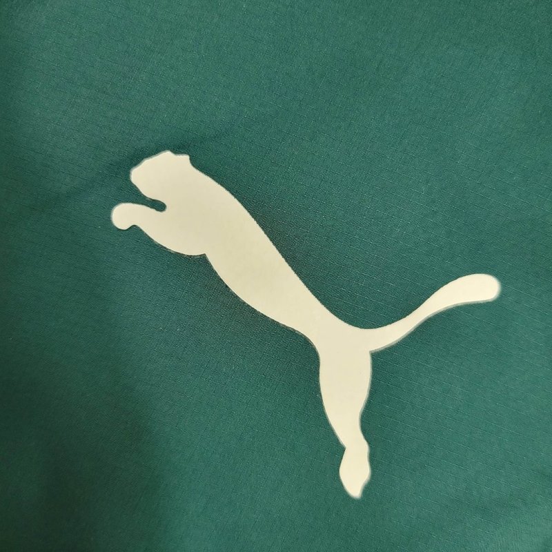 2023/2024 Palmeiras Windbreaker Football Shirt