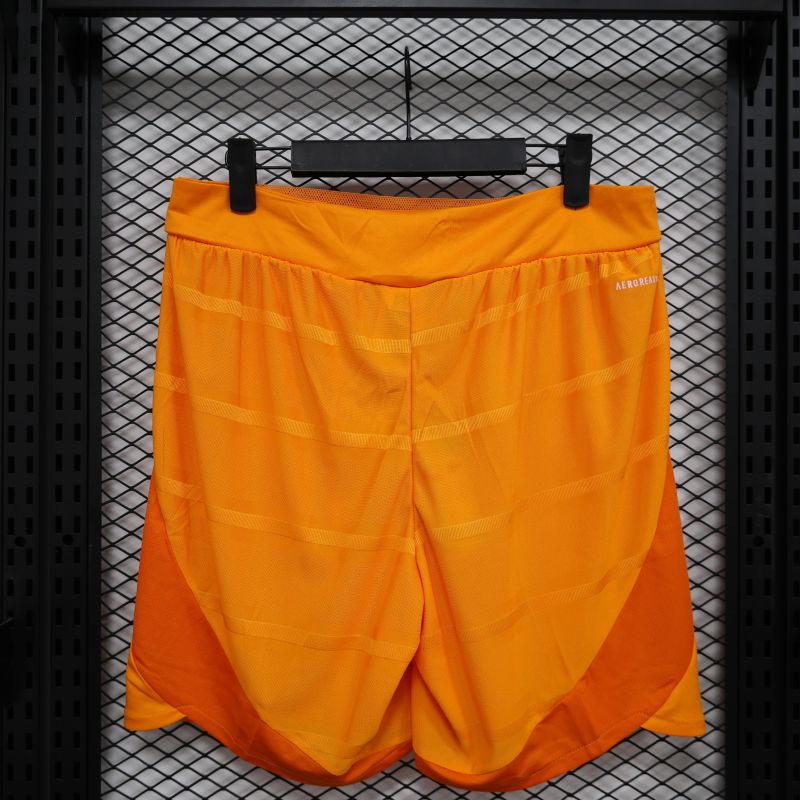 2024/2025 Players Edition Japan Special Edition Football Jersey