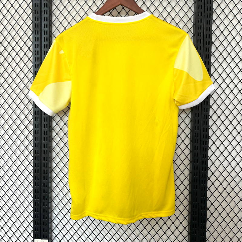 2025/2026 Brazil Special Edition Fan Edition Football Shirt