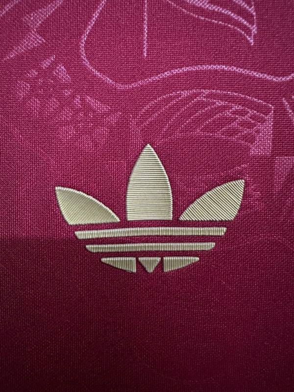 2024/25 Bayern 125th Anniversary Fan Edition Football Jersey