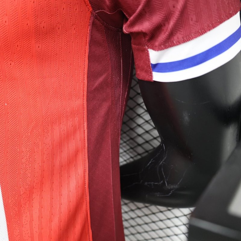 2024/2025 Player Version Norway Home Football Shirt