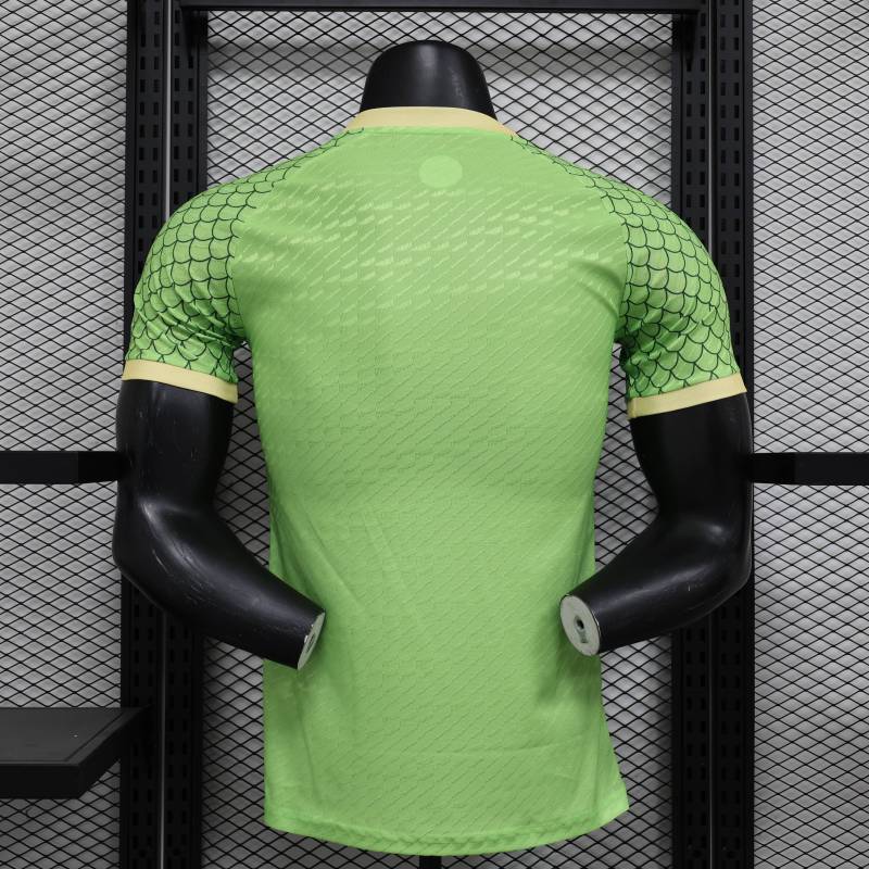 2024/2025 Player Edition Japan Special Edition Football Jersey