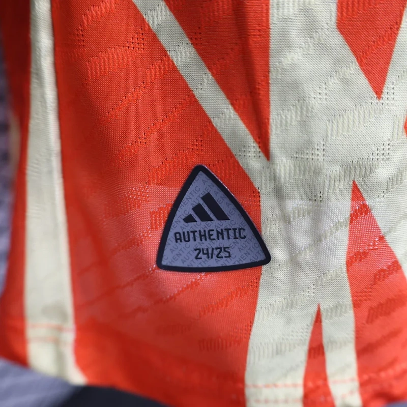 2024/2025 Player Version Bayern Munchen Special Edition Football Shirt