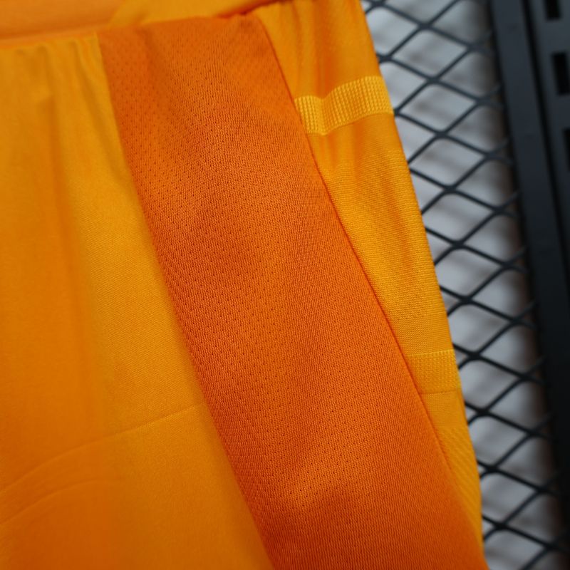 2024/2025 Players Edition Japan Special Edition Football Jersey