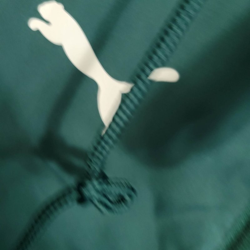 2023/2024 Palmeiras Windbreaker Football Shirt