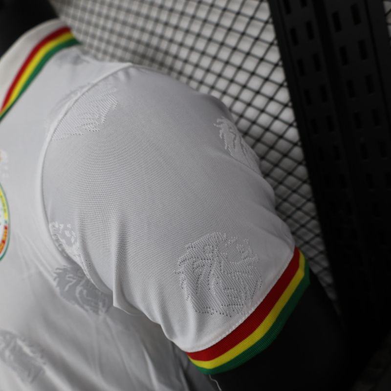 2024/2025 Senegal Special Edition Senegal Football Jersey for Players