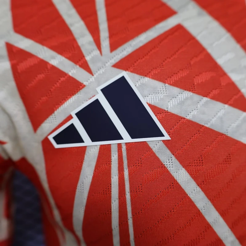 2024/2025 Player Version Bayern Munchen Special Edition Football Shirt