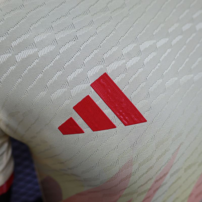 2024/2025 Players Edition Spain Special Edition Football Jerseys