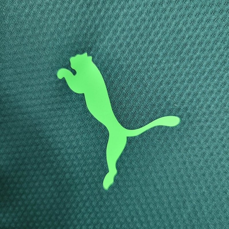 2020/2021 Palmeiras Third Away Football Shirt