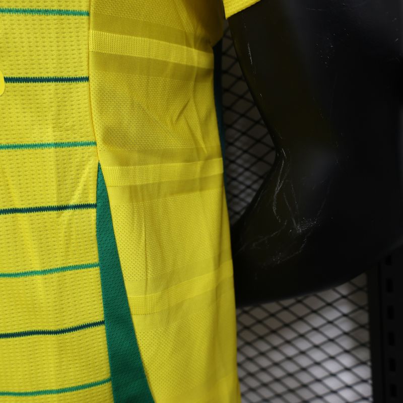 2024/2025 Players Edition Celtic Special Edition Yellow Football Jersey