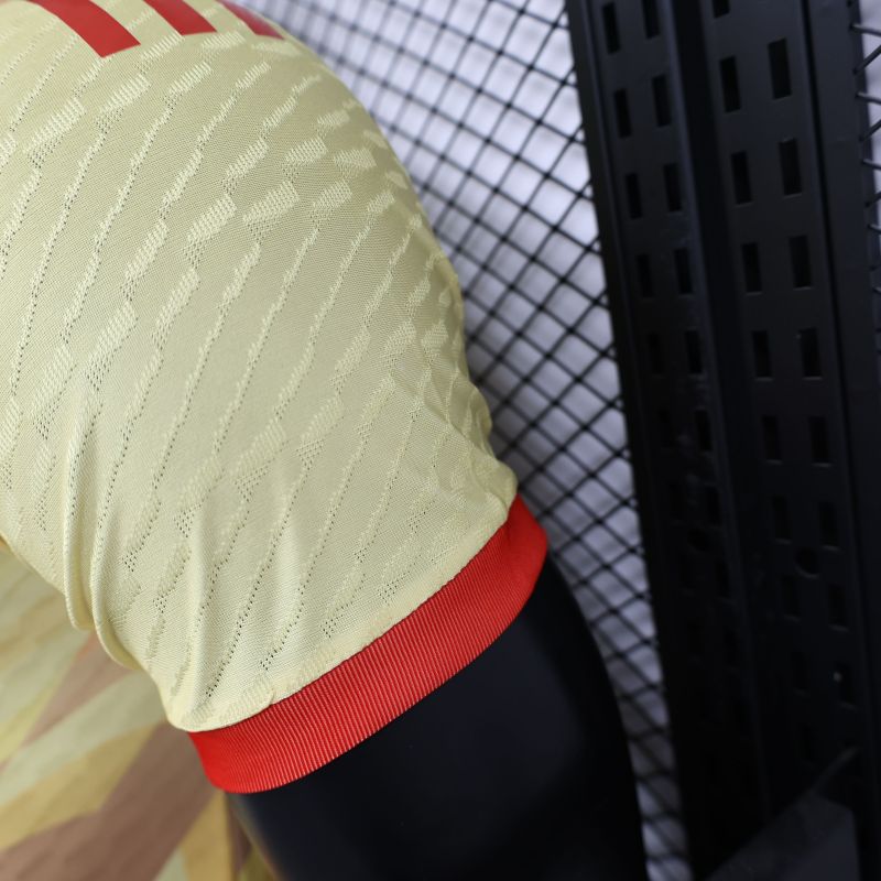 2024/2025 Players Edition Spain Special Edition Football Jerseys