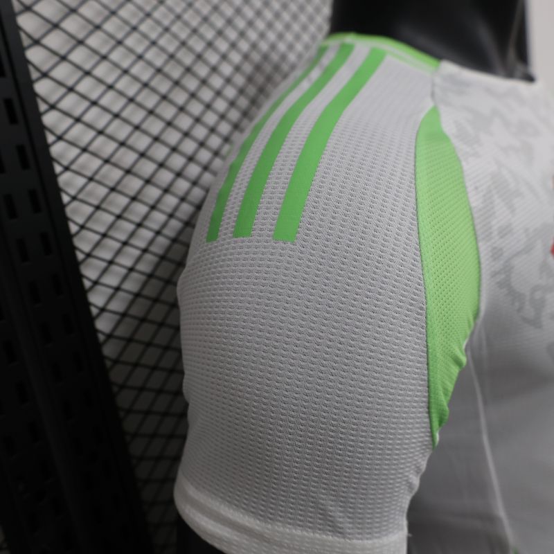 2024/2025 Player Edition Algeria Special Edition Football Jersey