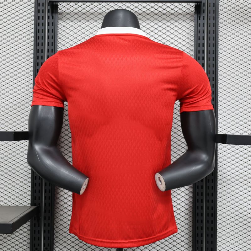 2024/2025 Player Edition Arsenal Special Edition Football jerseys