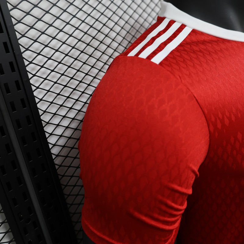 2024/2025 Player Edition Arsenal Special Edition Football jerseys