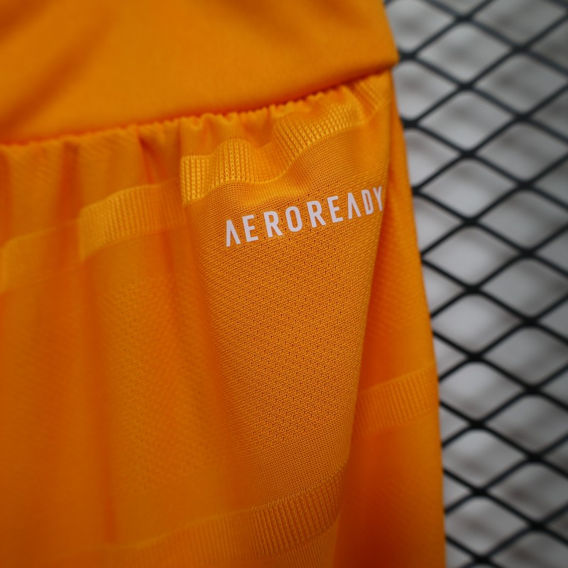 2024/2025 Players Edition Japan Special Edition Football Jersey