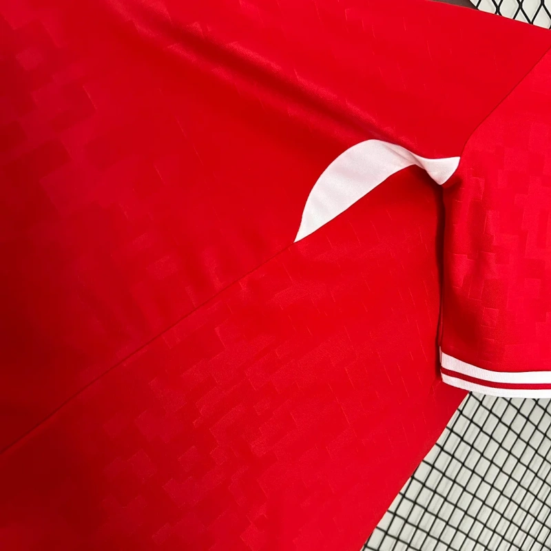 2024 Denmark Home Football Shirt
