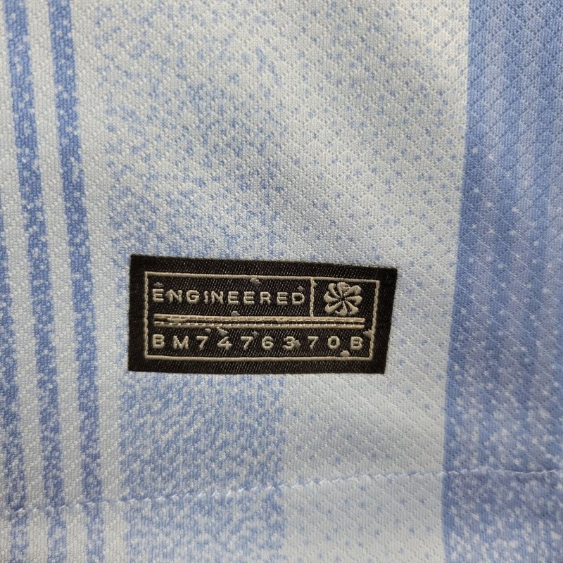 2024/2025 Tottenham Hotspur Away Football Shirt