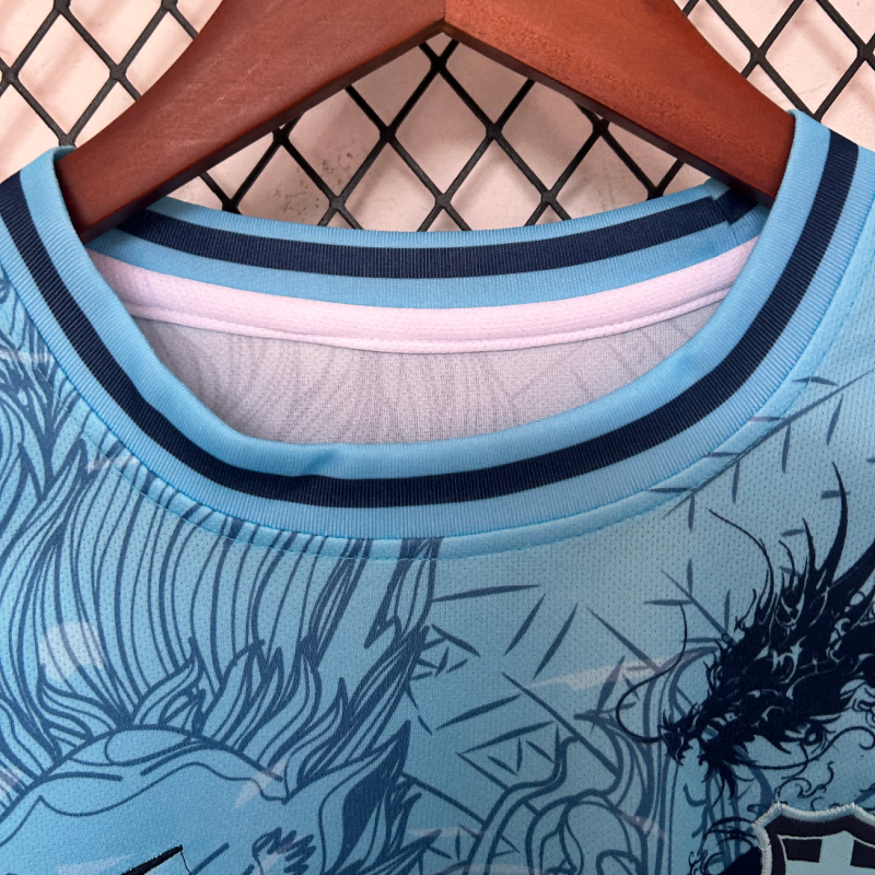 2025/2026 Barcelona Special Edition Fan Edition Football Shirt