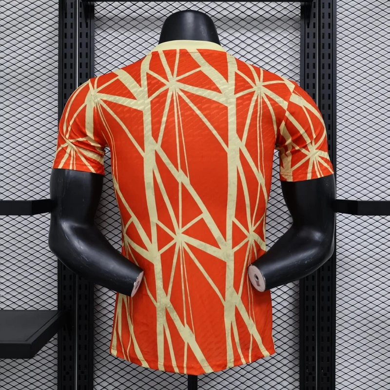 2024/2025 Player Version Bayern Munchen Special Edition Football Shirt