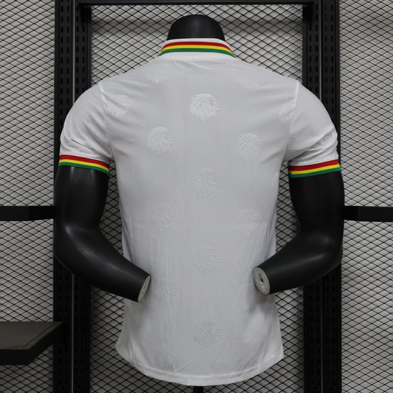 2024/2025 Senegal Special Edition Senegal Football Jersey for Players