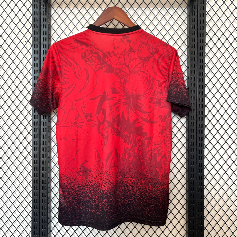 2025/2026 Liverpool Phoenix Red Fan Edition Football Shirt