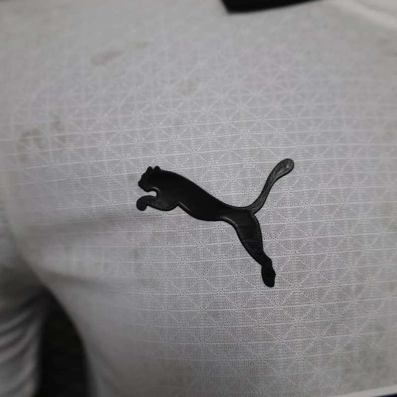 2024/2025 Player Version Dortmund Third Away Football Shirt